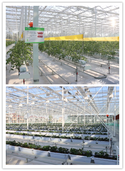 1699239470157472.png 未命名3.png